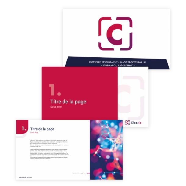 Projet pour une société de développement de logiciel et IA