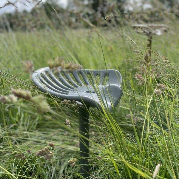 chaise dans un pré