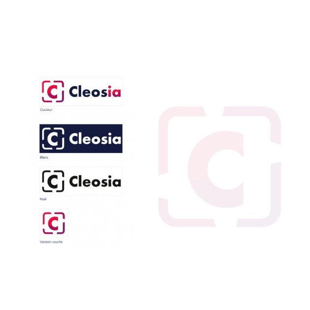 wp-content/uploads/2024/09/une-realisation-illustration-cleosia-logo.jpg