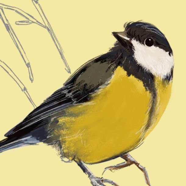 Projet naturalistes de la faune